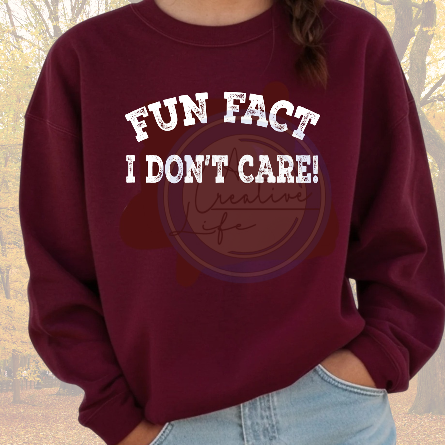 Fun Fact (customize)