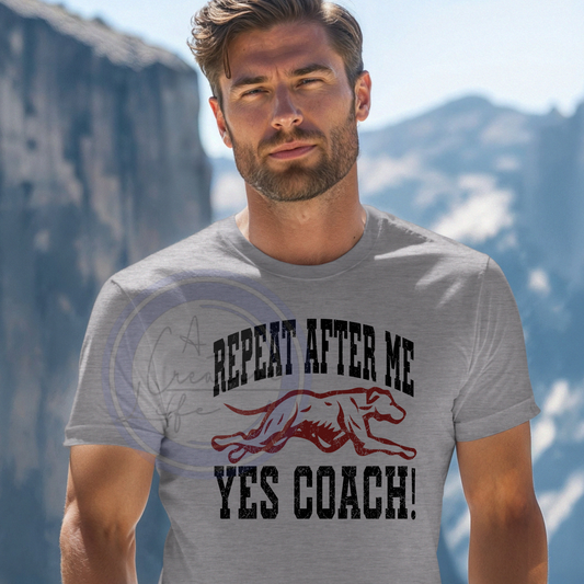 Yes Coach Cathedral (customized)