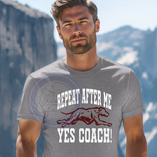 Yes Coach Cathedral (customized)